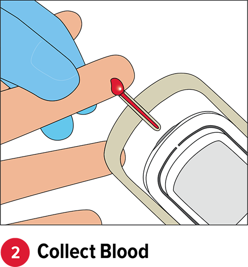 Collect Blood Sample