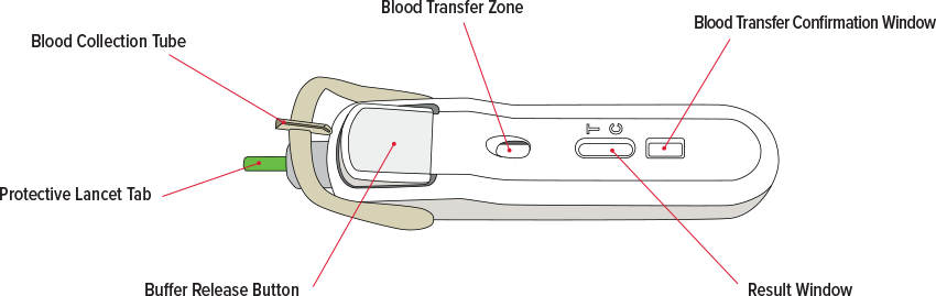 FebriDx Diagram