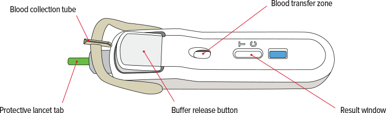 FebriDx Diagram